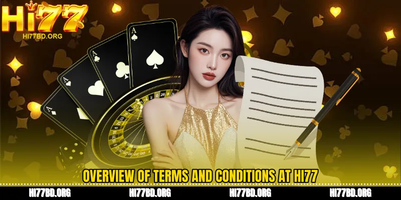 Overview of Terms and Conditions at Hi77