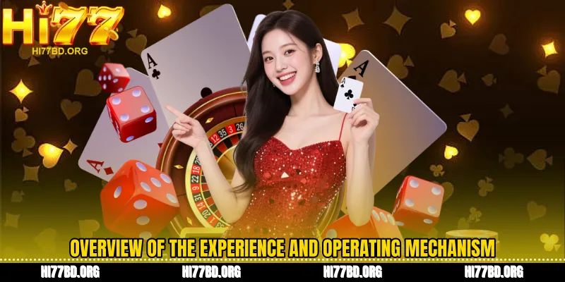 Overview of the experience and operating mechanism
